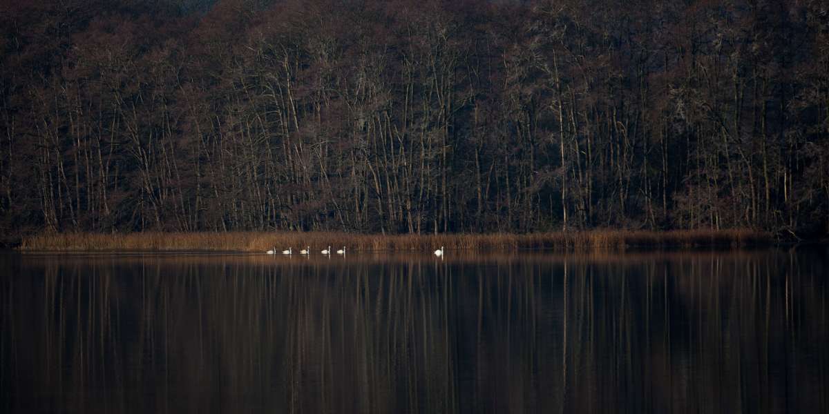 Der Pinnower See, eine einzigartige Natur und Urlaubslandschaft