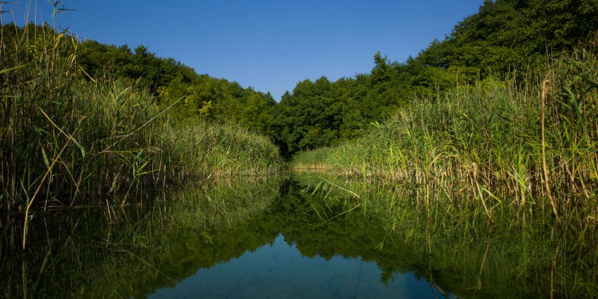 Vom Pinnower See in Richtung Warnow 