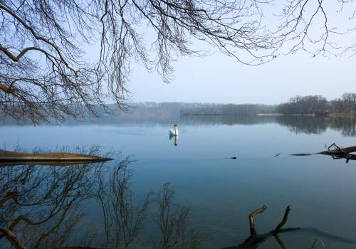 Der Pinnower See ein Natur-Kleinod